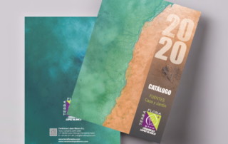 portadas_catalogo_fuentes_2020